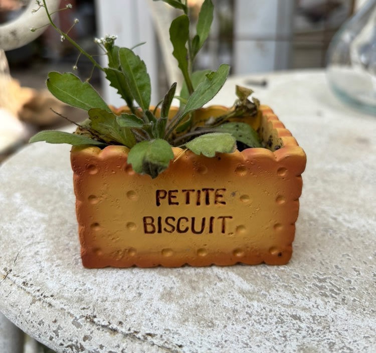 Creative Biscuit Mini Flower Pots, Fun Desktop Decoration