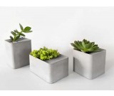 Modern Geometric Concrete Succulent Planter/Plant Pot /Flower Pot 