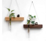 Wall Hanging Planter Test Tube Flower Bud Vase with Wood Stand