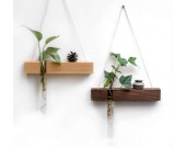 Wall Hanging Planter Test Tube Flower Bud Vase with Wood Stand
