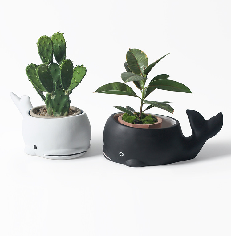 Creative Ceramic Whale Plant Flower Pot, Garden Decoration