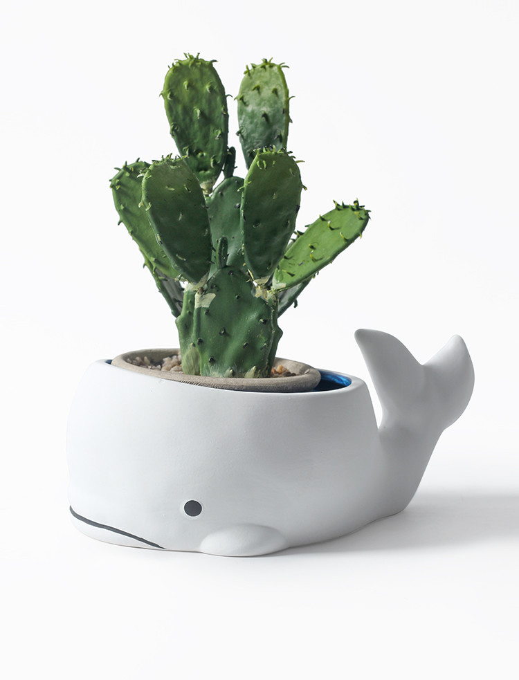 Creative Ceramic Whale Plant Flower Pot, Garden Decoration